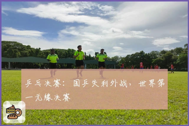 乒乓决赛：国乒失利外战，世界第一无缘决赛